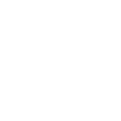 globe icon