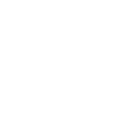 money bag icon