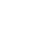 white icon of two credit cards