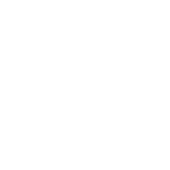 smiley face icon