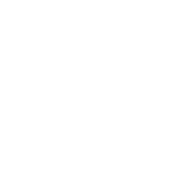 gavel icon