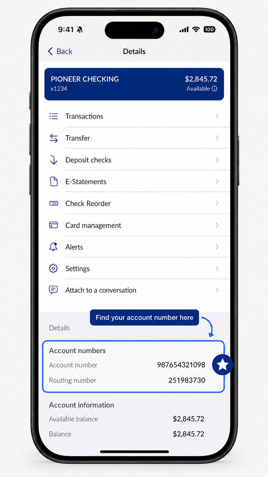Pioneer app account details screen, with the Account numbers section highlighted showing the account number and routing number 251983730.
